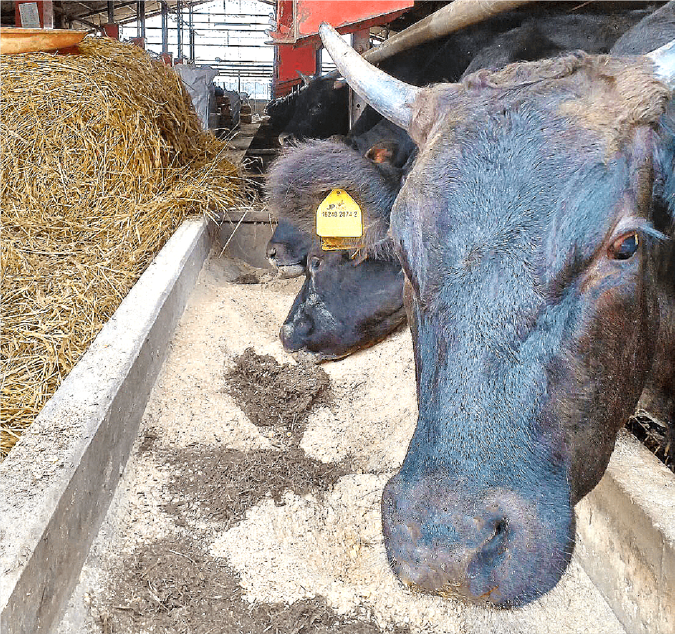 肉へのこだわり
